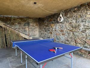 una mesa de ping pong en una habitación con una pared de piedra en Cascina gnocca VIVERONE avventura, en Viverone