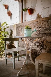una mesa y una silla con una planta en Alisios HOT TUB sauna piscina y naturaleza, en Buzanada