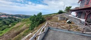 Afbeelding uit fotogalerij van Quinta das Pitaias, Casa de Baixo in Calheta