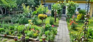 a garden with flowers and plants in a yard at Klara Rooms in Gevgelija