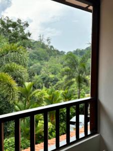 uma janela com vista para uma floresta em Moonbeam Kandy em Kandy