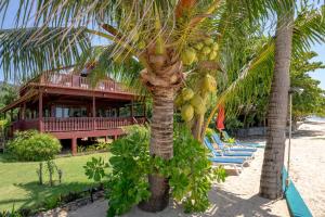 eine Palme am Strand mit einem Resort in der Unterkunft Beachfront Villa, Bang Po in Ban Bang Po