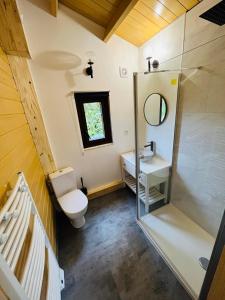 ein Badezimmer mit einem WC, einem Waschbecken und einem Spiegel in der Unterkunft Chalet bord de l'eau avec spa privatif in Longpré-les-Corps-Saints