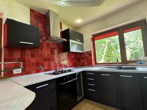 a kitchen with black cabinets and a window in it at Cottage Zelman in Yaremche