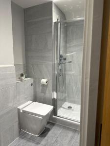 a bathroom with a shower and a toilet and a sink at Spacious, bright, modern flat in Brentwood