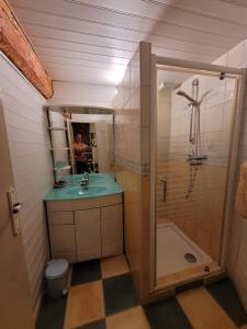 Koupelna v ubytování Gite Bellevue avec cheminée et bois offert