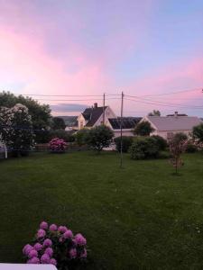 een tuin met roze bloemen in het gras bij Koselig hus med 4 soverom 7 min gange fra sentrum in Gjøvik