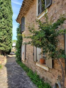 un bâtiment en pierre avec des fenêtres et un arbre en pot à côté dans l'établissement La haute verrerie, au Cannet-des-Maures