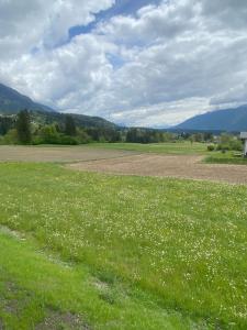 a field of green grass with white flowers in it at Naturparadies Pressegger See - Nassfeld - Weissensee in Hermagor