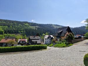 a cobblestone street in a village with houses at Ferienwohnung Schulzental in Ilmenau