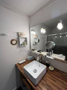 a bathroom with a white sink and a mirror at Charmante maison landaise in Soustons +8 photos