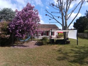 a house with a purple tree in the yard at Charmante maison landaise in Soustons