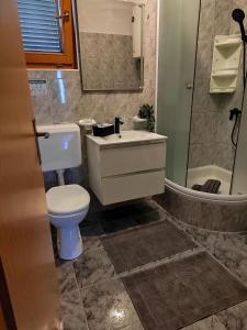 uma casa de banho com um WC, um lavatório e um chuveiro em Villa Lana (enjoy your privacy) em Nedeščina
