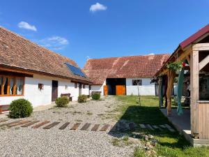 uitzicht op de binnenplaats van een huis bij Chalet Giuel in Bărcuţ