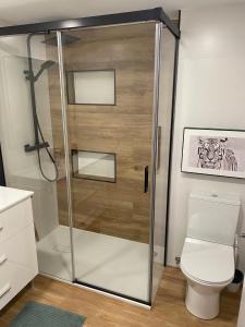 a shower stall in a bathroom with a toilet at Mirador de Telera - Precioso apartamento en el pueblo con espectaculares vistas in Panticosa