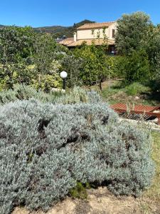 Gallery image of LeCalleBed-Breakfast in Chia