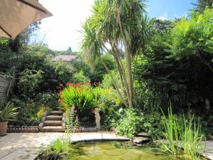 a garden with a pond and palm trees and plants at Dunkery Apartment in Porlock