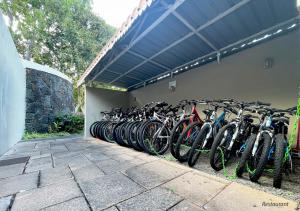 una fila de bicicletas estacionadas junto a una pared en Villa Fairways - Private, Golf & Luxe en Centre de Flacq
