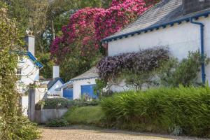 una fila de casas con flores púrpuras en Little Hanger Porlock, en Porlock