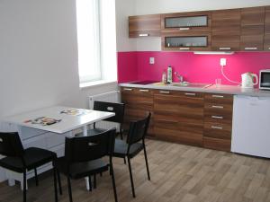 Kuchyň nebo kuchyňský kout v ubytování Apartment Třeboň