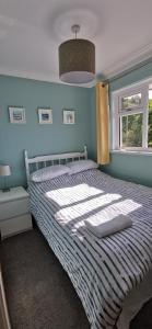 1 dormitorio con 1 cama grande y pared azul en Chy Lowen Private rooms with kitchen, dining room and garden access close to Eden Project & beaches, en Saint Blazey