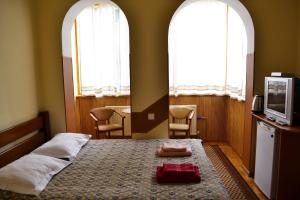 a bedroom with a bed with two windows and a tv at Malvy hotel in Truskavets
