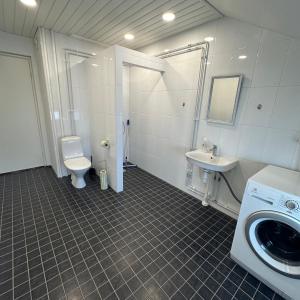 een badkamer met een toilet, een wastafel en een wasmachine bij Majoitus Ilomantsissa in Ilomantsi