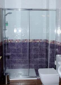 a bathroom with a shower and a toilet at Casa Rural Paula in Zarzuela del Monte