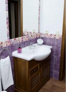 a bathroom with a sink and a mirror at Casa Rural Paula in Zarzuela del Monte