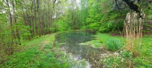 Gallery image of Domek Zielony Dzięcioł in Długopole-Zdrój