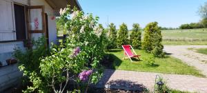 Galeriebild der Unterkunft W Malinowym Chruśniaku in Nowa Słupia + 58 Fotos