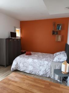 - une chambre avec un lit et un mur orange dans l'établissement Les Talvasières, au Mans