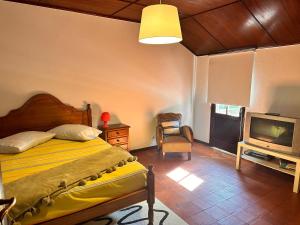a bedroom with a bed and a tv and a chair at Casa dos Avós in Geres
