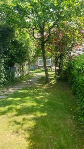 a tree in the middle of a green yard at Moderner Fachwerktraum in Uetze +7 photos