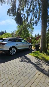 een zilveren auto geparkeerd naast een boom bij De Bosuil in Putten
