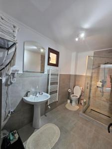 La salle de bains est pourvue d'un lavabo, d'une douche et de toilettes. dans l'établissement Relax and Smile Rameț, à Biceşti