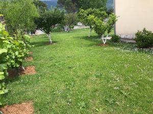 a yard with trees and grass and white flowers at Apartment K2 in Radanovići