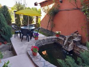 une terrasse avec un étang et une table avec un chat assis à côté dans l'établissement Casa Matei, à Sighetu Marmaţiei