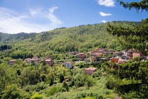 Příroda nedaleko apartmánu