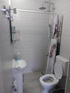 a bathroom with a toilet and a sink at Eid in Mostar +18 photos