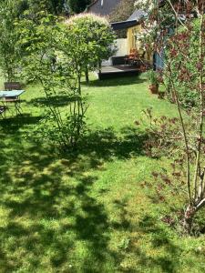 un patio con césped verde, una mesa y un banco en Gästehaus A+C Bovet, en Wesenberg