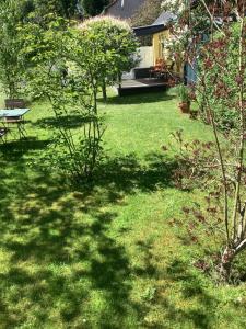 a yard with green grass and a table and a bench at Gästehaus A+C Bovet in Wesenberg