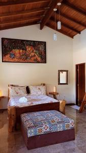 1 dormitorio con 1 cama y una pintura en la pared en Brisa da Serra Hotel Pousada Pirenopolis, en Pirenópolis