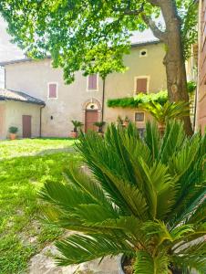 a house with a palm tree in the yard at Casa Barattini in Zocchetta +90 photos