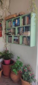 a green book shelf with potted plants on a wall at Krinelos Rooms in Skala Eresou