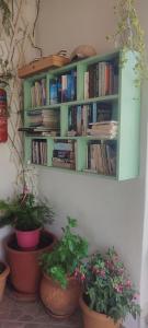The library in az apartmanhoteleket