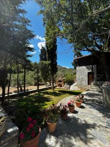 a garden with potted plants and a building at Elis superb villa in Ierápetra