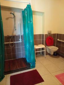 a bathroom with a blue shower curtain and a toilet at Noyers du Soleil, Chambre d'hôte avec petit déjeuner à proximité de Gap in La Bâtie-Vieille