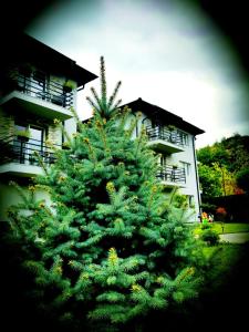 Zahrada ubytování GREY VILLAS