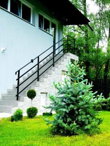 Zahrada ubytování GREY VILLAS